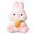 Копилка детская Rabbit with wet iLikeGift BB2496-2-01